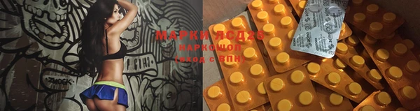 прущие крисы Надым