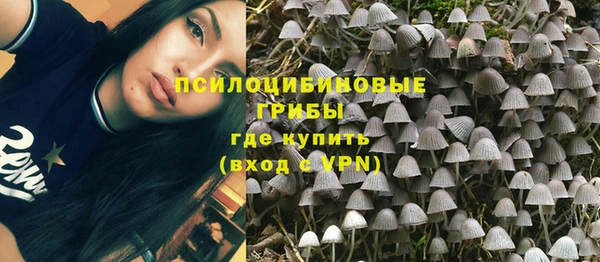 прущие крисы Надым